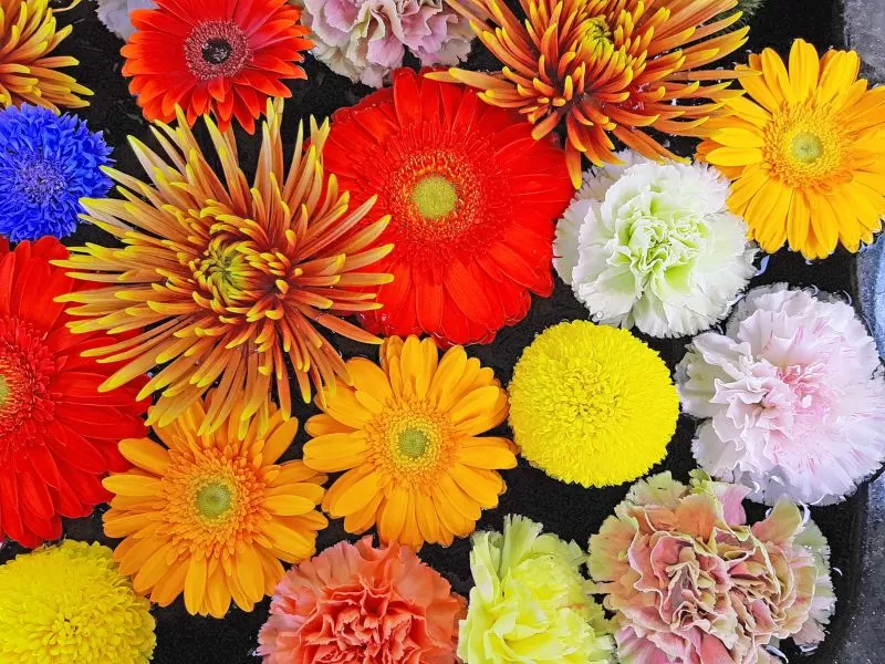 供花の写真